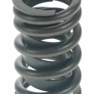 Ventilfjäder VS-521 1955-57 265 V8 Populärt val