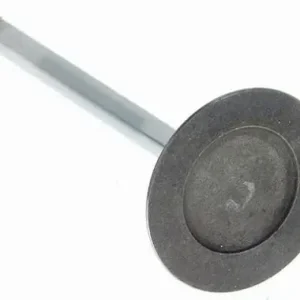 Ventil Insug V-4592 1999-07 4,8, 5,3 lit. V8 Populär