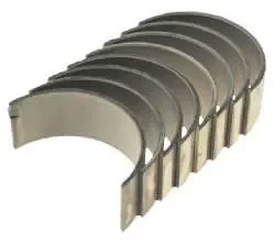 Vevlagersats CM-111169 010, 71-3616 risnedsättning