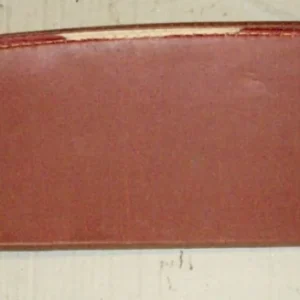 1955 Buick sunscreen frame, good mount Expressleverans