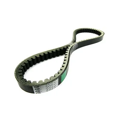 Variatorrem (Vitality) Erbjudandepris