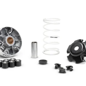 Variator Malossi Multivar 2000 – Piaggio 4T Handla nu