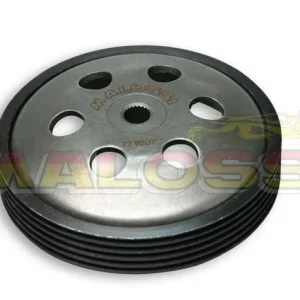 Wing Bell Malossi Handla nu