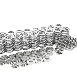 Ventilfjädersats 2.5L TFSI Audi RS3 & TTRS Sports Valve Springs Set SUPERTECH Kundfavorit