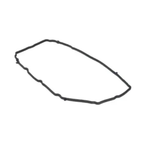 Ventilkåpspackning VänsterArtikelnummer: 5184596AE Erbjudandepris