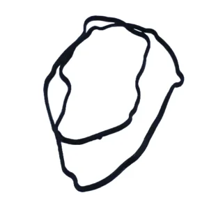 Ventilkåpspackning VänsterArtikelnummer: 53022009AA Billigare